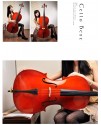 CS-C01 大提琴