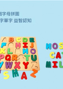 數字 配對板拼板 數字認知手抓板