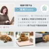  台灣品牌 90s 寵物科技地墊 10件裝 隔音減震防滑 地墊