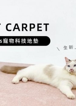  台灣品牌 90s 寵物科技地墊 10件裝 隔音減震防滑 地墊