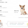  台灣品牌 90s 寵物科技地墊 10件裝 隔音減震防滑 地墊