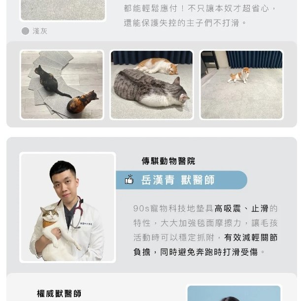  台灣品牌 90s 寵物科技地墊 10件裝 隔音減震防滑 地墊
