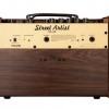 NUX SA-40 便攜式可充電 結他音箱