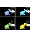 6孔中音C調 陶笛 海豚款