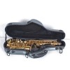 Alto SAXOPHONE 中音薩士風 碳纖維盒