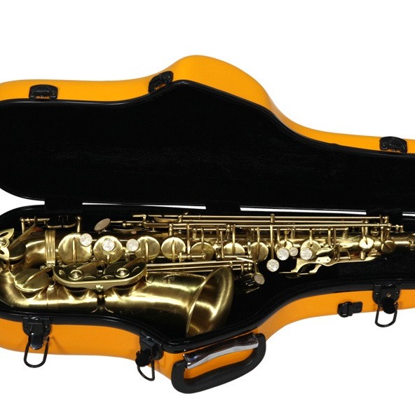 Alto SAXOPHONE 中音薩士風 碳纖維盒