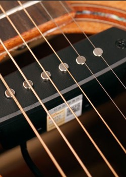 TYLANHUA A-710 結他 外置拾音器