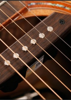 TYLANHUA A-810 結他 外置拾音器