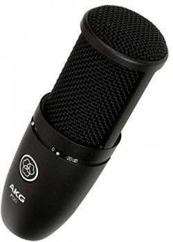AKG P120 Large-Diaphragm Condenser Microphone