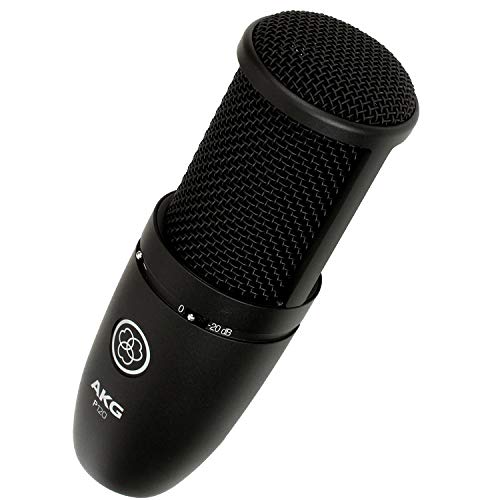 AKG P120 Large-Diaphragm Condenser Microphone