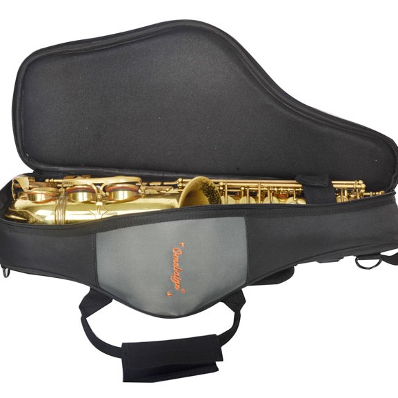 Omebaige Alto SAXOPHONE BAG 中音薩士風 輕便防水雙肩袋