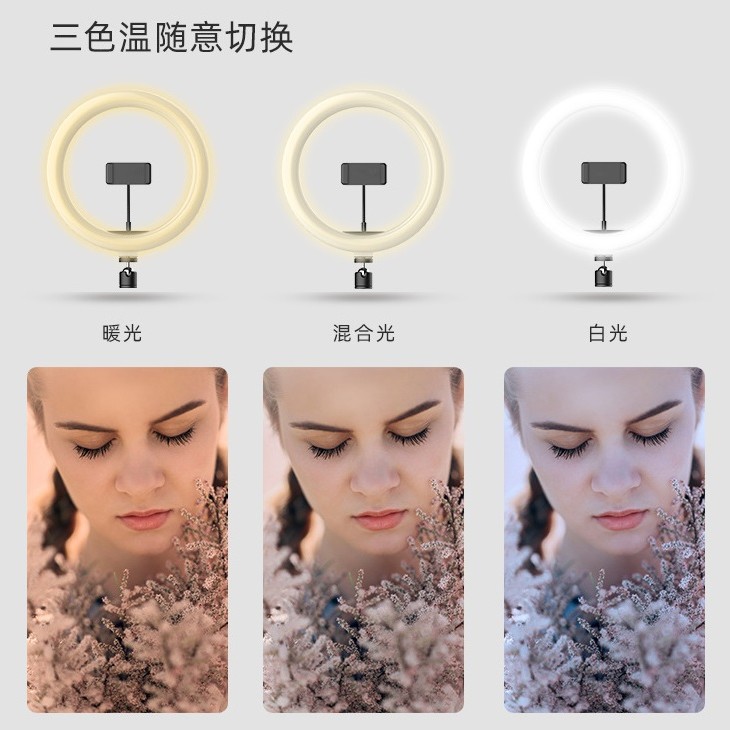 26cm 座檯 LED環形燈 直播手機夾支架 環形 補光燈 支架