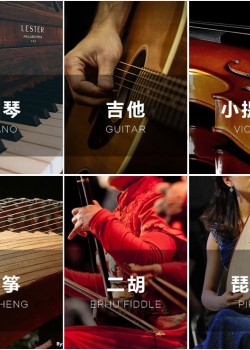 TRITON 木質 樂器保養蠟 護理油 保養油