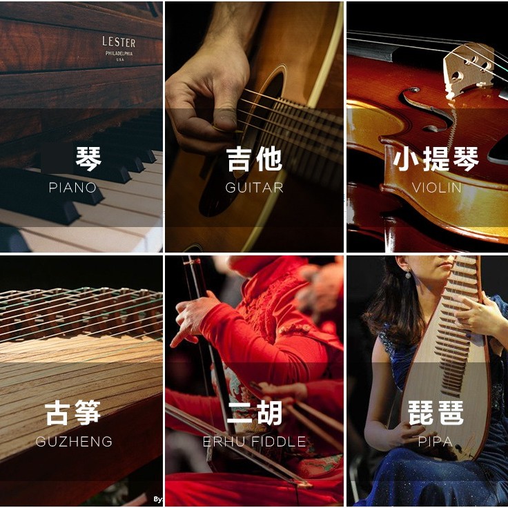Winerten 木質 樂器保養 檸檬油 結他指板清潔/護理油 保養油
