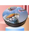 8吋 兒童 海洋 海浪鼓 ocean drum 海洋魚圖案 8吋 兒童 海洋 海浪鼓 ocean drum 海洋魚圖案