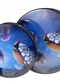 8吋 兒童 海洋 海浪鼓 ocean drum 海洋魚圖案