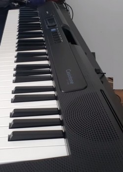 Casio Casiotone CT-S300
