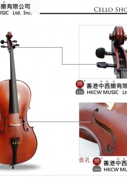 CS-C02 大提琴