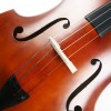 CS-DB01 低音大提琴 DOUBLE BASS  (1/8  1/4  1/2)