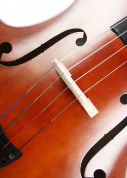 CS-DB01 低音大提琴 DOUBLE BASS  (1/8  1/4  1/2)