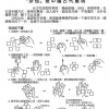 兒童 沙包 兒童豆袋 扁豆袋 10cm (單個裝)