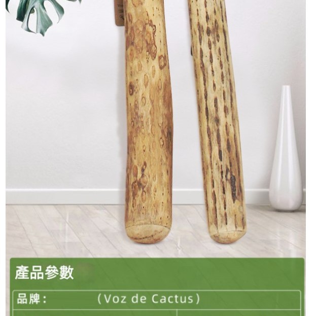 VOZ DE CACTUS / Terre 南美雨棍 仙人掌雨聲棒 Rainstick (長25CM)