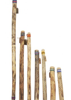 VOZ DE CACTUS / Terre 南美雨棍 仙人掌雨聲棒 Rainstick (長25CM)