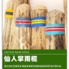 VOZ DE CACTUS / Terre 南美雨棍 仙人掌雨聲棒 Rainstick (長25CM)