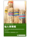VOZ DE CACTUS / Terre 南美雨棍 仙人掌雨聲棒 Rainstick (長150CM)