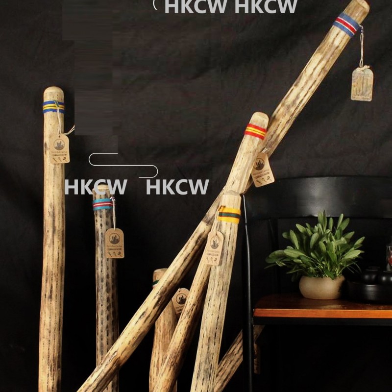 VOZ DE CACTUS / Terre 南美雨棍 仙人掌雨聲棒 Rainstick (長25CM)