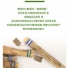 VOZ DE CACTUS / Terre 南美雨棍 仙人掌雨聲棒 Rainstick (長25CM)