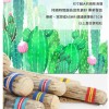 VOZ DE CACTUS / Terre 南美雨棍 仙人掌雨聲棒 Rainstick (長25CM)