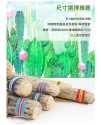 VOZ DE CACTUS / Terre 南美雨棍 仙人掌雨聲棒 Rainstick (長150CM)
