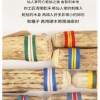 VOZ DE CACTUS / Terre 南美雨棍 仙人掌雨聲棒 Rainstick (長25CM)