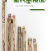 VOZ DE CACTUS / Terre 南美雨棍 仙人掌雨聲棒 Rainstick (長25CM)