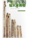 VOZ DE CACTUS / Terre 南美雨棍 仙人掌雨聲棒 Rainstick (長150CM)