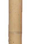 竹製 雨棍 竹雨聲棒 竹雨棍 Rainstick (長60CM)