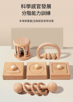 兒童櫸木 手抓手搖鈴 鈴鐺樂器 形狀配對板 (6件套裝)