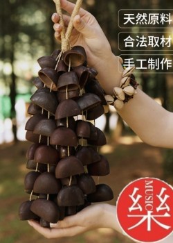 大串果殼手鈴 鴨健藤 果殼 手搖鈴 JUJU 大串堅果手鈴