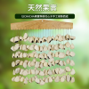 印尼 混合果實 排鈴音束 大串果殼鈴 果殼搖鈴 堅果 果殼排鈴