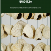 印尼 混合果實 排鈴音束 大串果殼鈴 果殼搖鈴 堅果 果殼排鈴