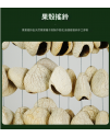 印尼 鴨毽藤 排鈴音束 大串果殼鈴 果殼搖鈴 堅果 果殼排鈴