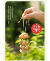 小雲朵 果殼掛鈴 夾竹桃 堅果 手鈴 果殼手搖鈴 小雲朵果殼包鈴