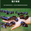 印尼 混合果實 排鈴音束 大串果殼鈴 果殼搖鈴 堅果 果殼排鈴
