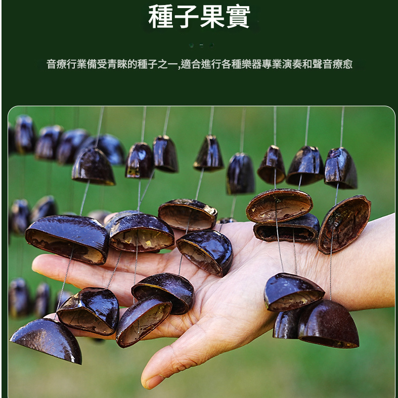印尼 混合果實 排鈴音束 大串果殼鈴 果殼搖鈴 堅果 果殼排鈴