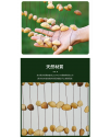 印尼 鴨毽藤 排鈴音束 大串果殼鈴 果殼搖鈴 堅果 果殼排鈴