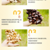 大串果殼手鈴 夾竹桃 果殼 手搖鈴 Chacha 大串堅果手鈴