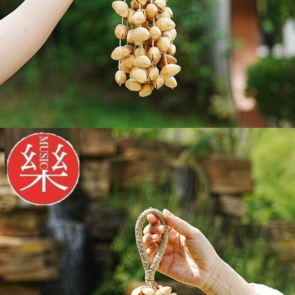 大串果殼手鈴 夾竹桃 果殼 手搖鈴 Chacha 大串堅果手鈴
