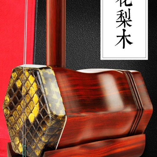 CS 紅花梨木 二胡 03A