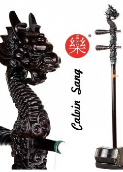 CS 精品黑檀木 龍頭雕刻 二胡 05A